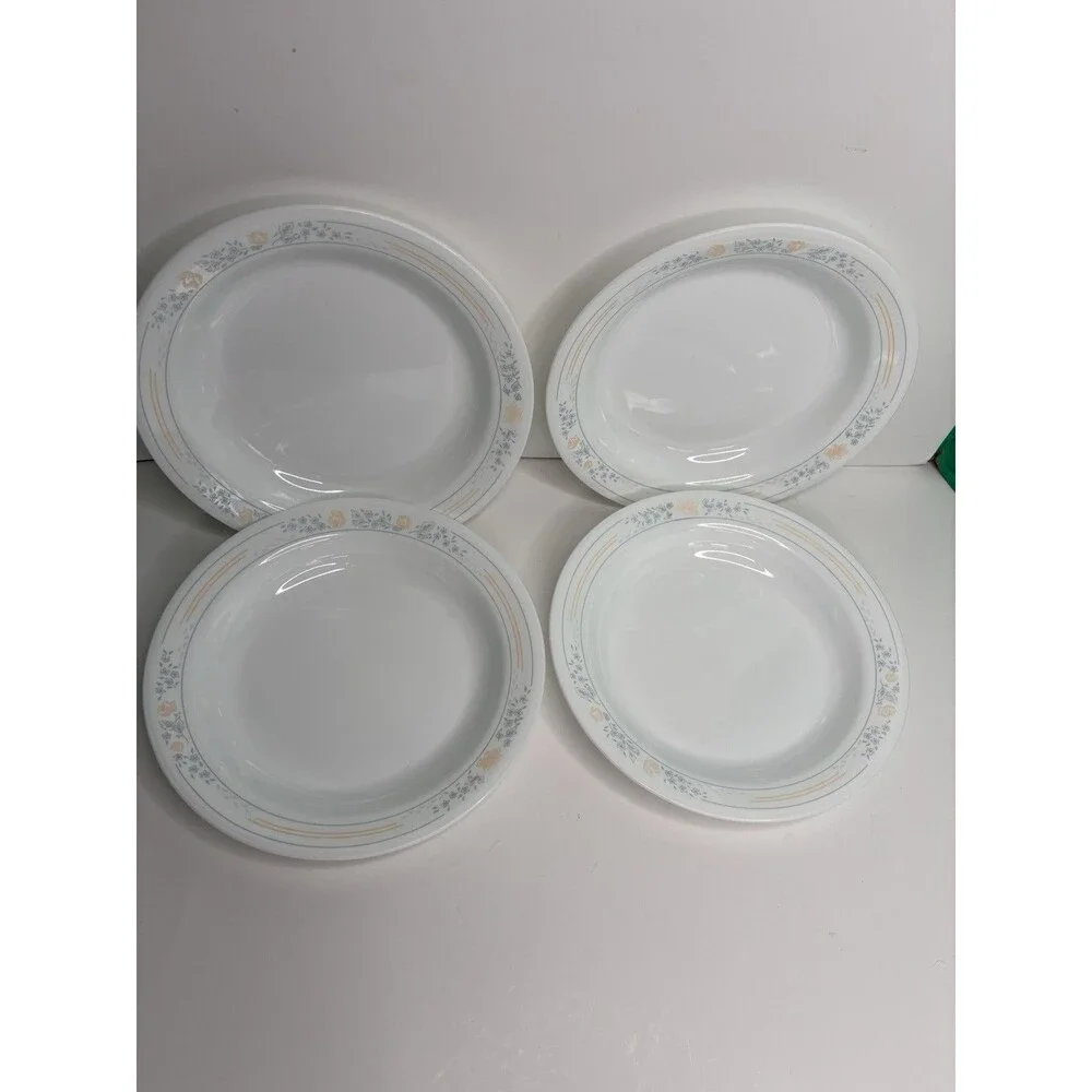 Corelle Apricot Grove Set of 4 Flat Rimmed Shallow Soup Salad Pasta Bowls 8.5